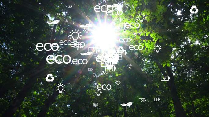 生态概念与环境、可持续能源开发。可持续资源概念。绿色的森林和阳光。