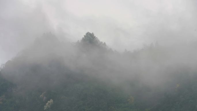 山 云 雾 日常 溪流