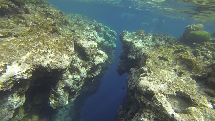 红海蓝洞潜水