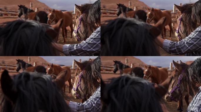 一个美洲土著女孩刷她的马