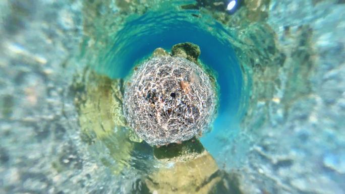 水下，小星球格式海底世界海洋生物三亚潜水
