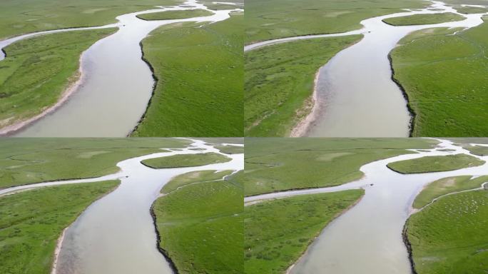 新疆巴音布鲁克开都河湿地航拍