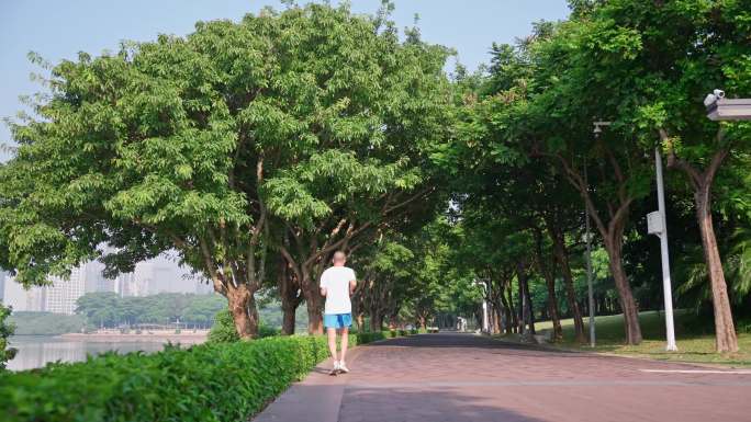 4K正版-深圳湾公园海边步道晨跑的人06