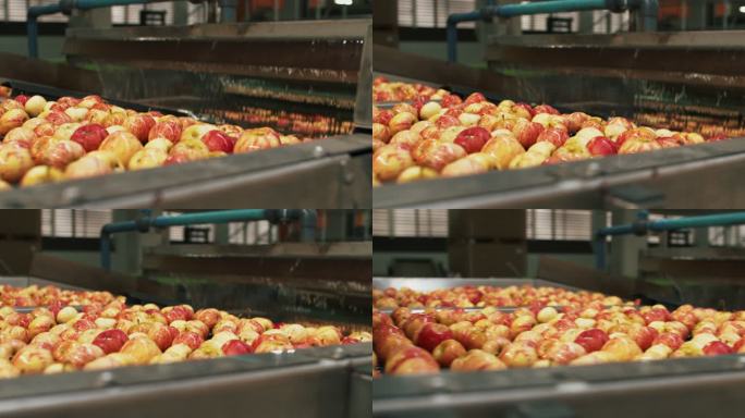 工厂传送带上苹果的4k视频片段