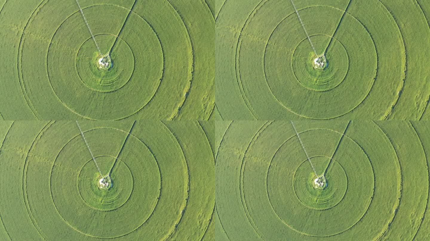 循环农业领域麦田里的几何图形圆形农作物