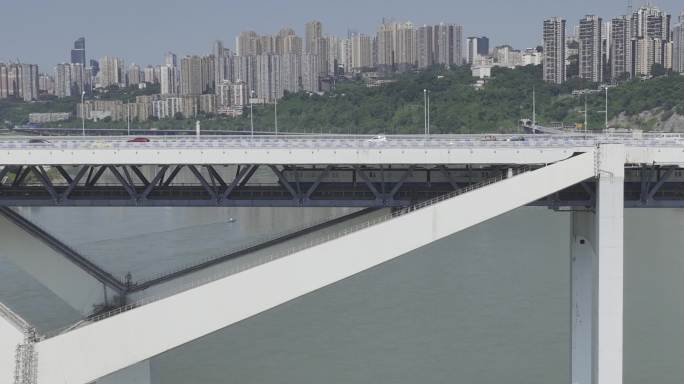 【21元】重庆地铁菜园坝大桥下穿过