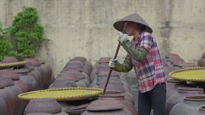 越南妇女在古老的房子院子里制作大豆酱和酱罐，这是一种由大豆制成的发酵豆酱，通常用于越南烹饪