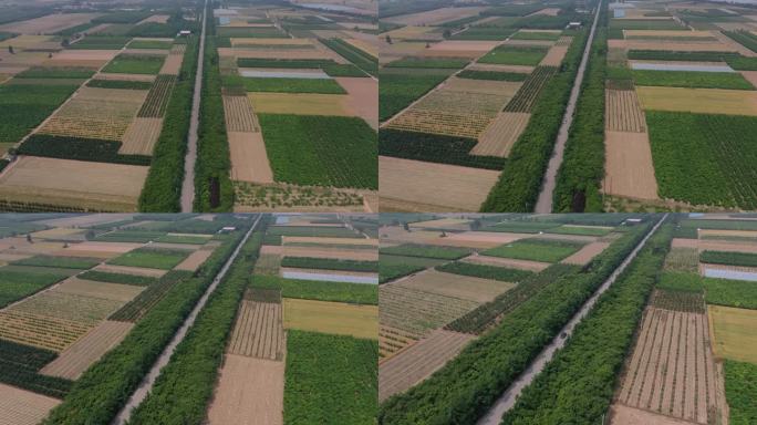 山西旅游永济农业规模4K航拍
