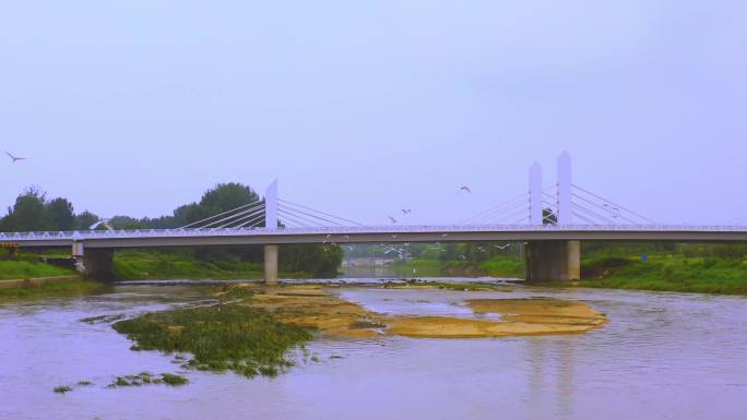 泰安汶河湿地