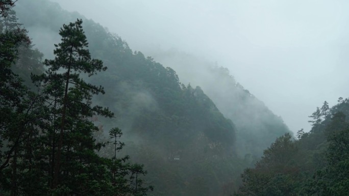 浓雾弥漫的山谷