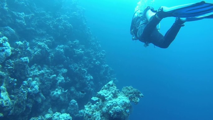 红海蓝洞潜水