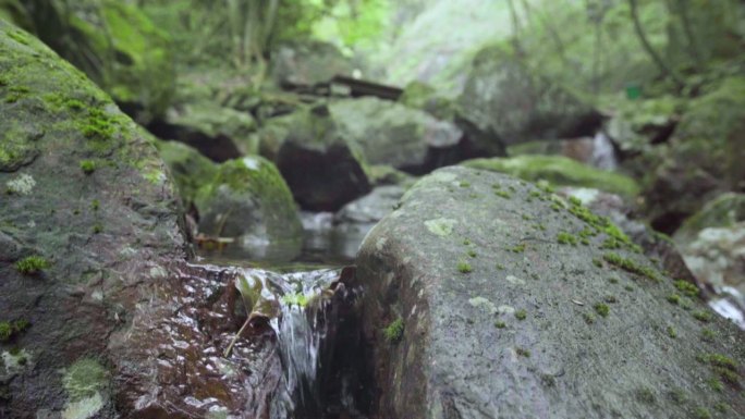 生态环境 青山绿水 美好生活 秀美景色