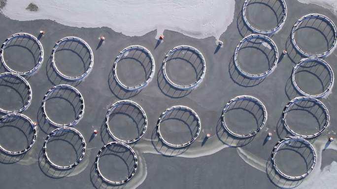 在峡湾捕鱼。大型养鱼场冰冻水域鸟瞰图。
