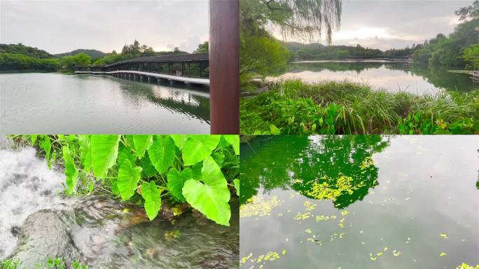 浙江杭州2022年西湖山水景致风景（3）