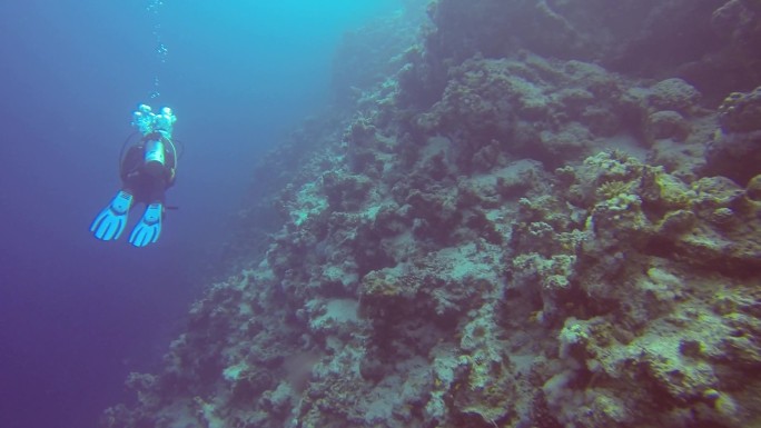 红海蓝洞潜水