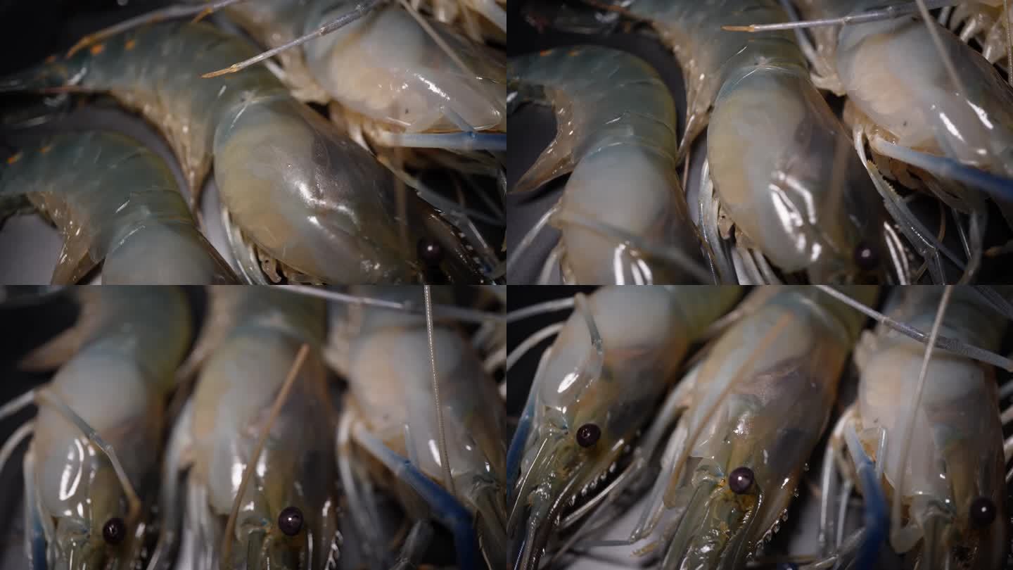 罗氏虾大头虾海鲜水产
