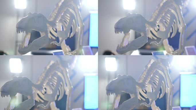恐龙 骨架 科技馆 模型 教育