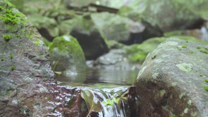 生态环境 青山绿水 美好生活 秀美景色