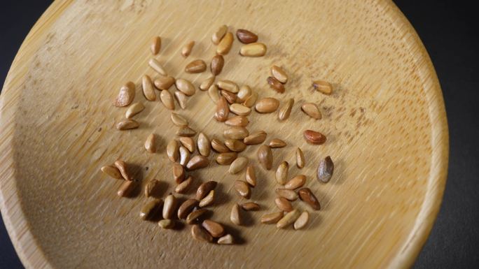 玫瑰种子四季鲜花种子园丁花园植物