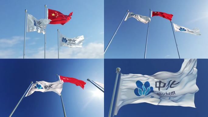 中国中化控股旗帜