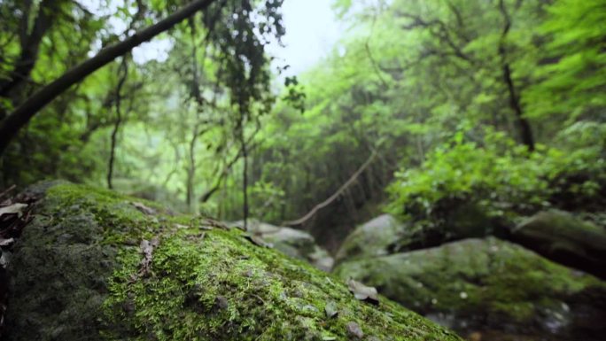 生态环境 青山绿水 美好生活 秀美景色