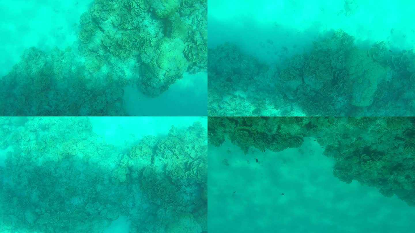蔚蓝大海行船浪花海底珊瑚2