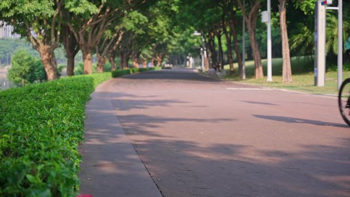 4K正版-深圳湾公园步道骑行散步的人01