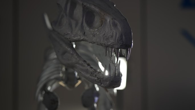 恐龙 骨架 科技馆 模型 教育