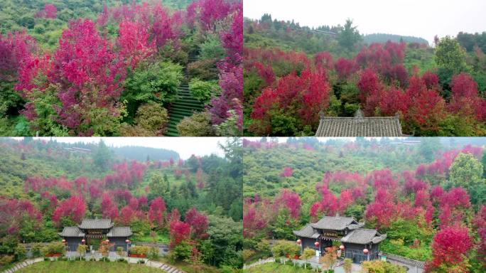 航拍什邡川西红枫岭