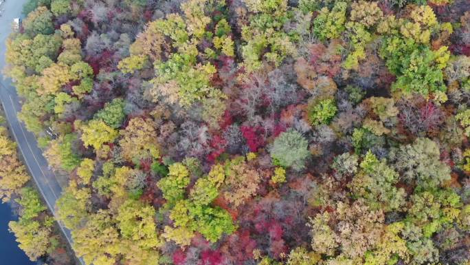 关门山枫叶航拍深秋山林红叶落叶枯树