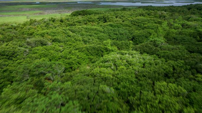 奥杜邦野生动物保护区河口-北卡罗来纳州卡罗拉市柯里托克湾