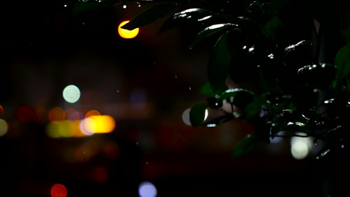 夜景雨景