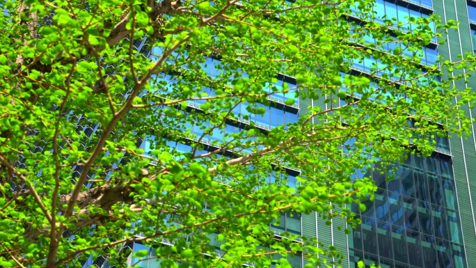 现代办公楼和树木数码未来创造