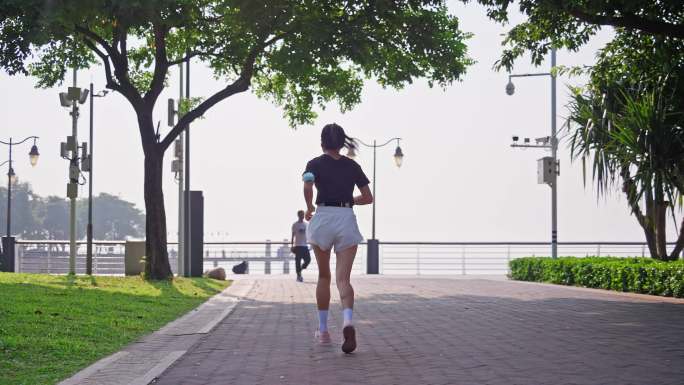 4K正版-深圳湾公园海边步道晨跑的人05