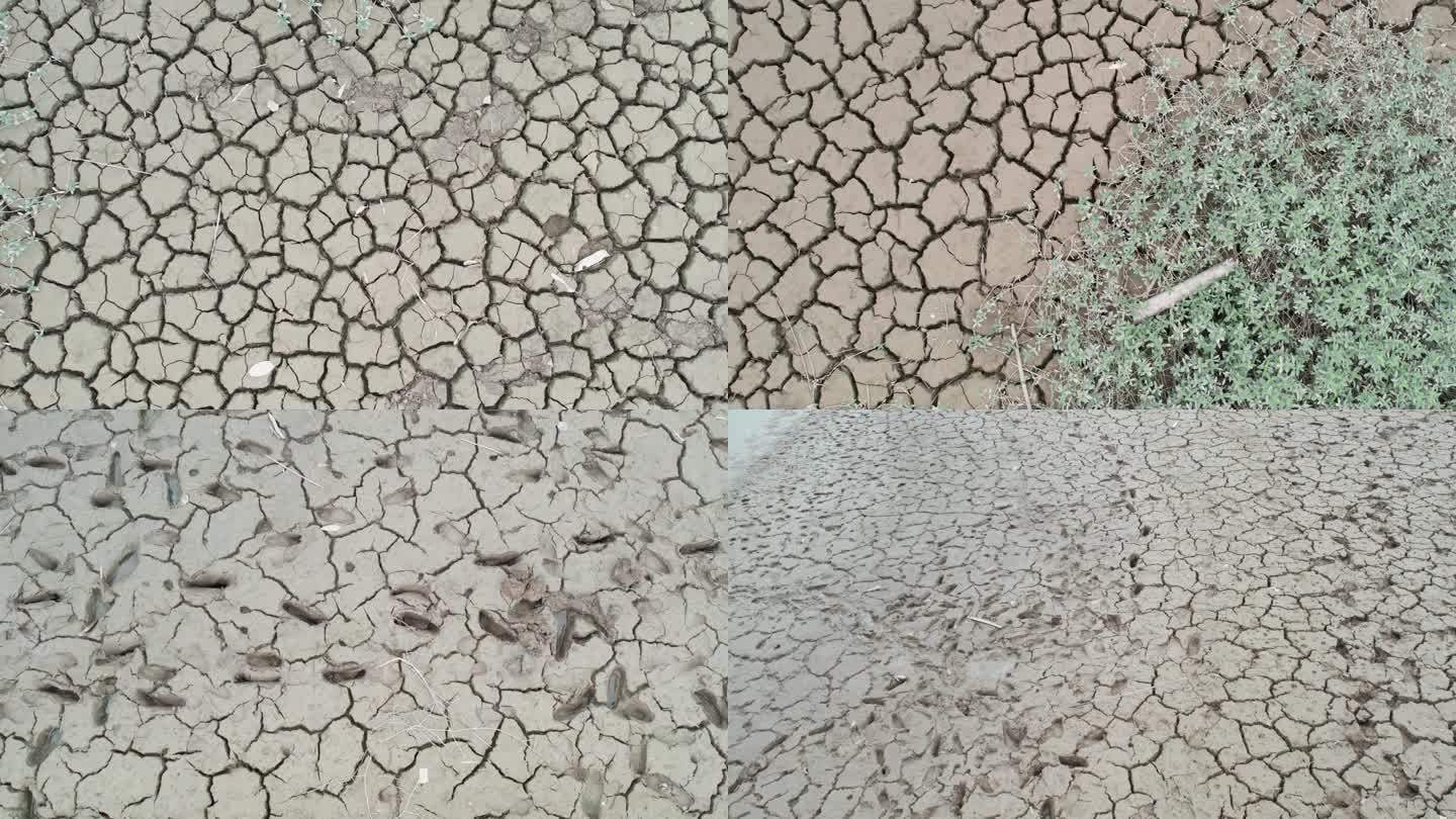 干枯的河床开裂的土地炎热夏季淤泥干涸
