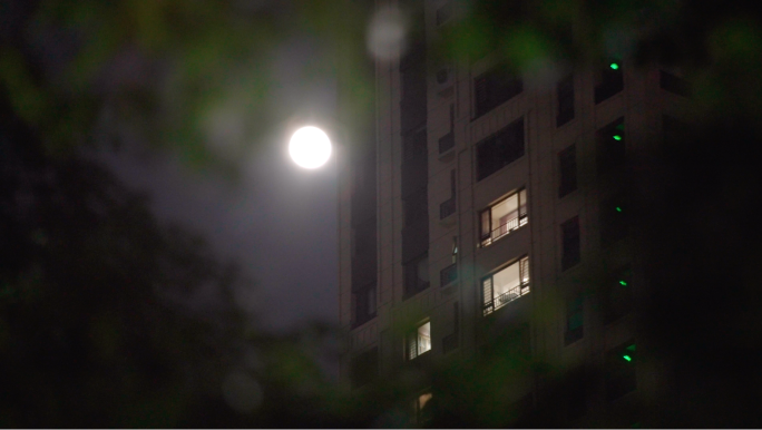 夜晚月亮挂在窗边-温暖的家