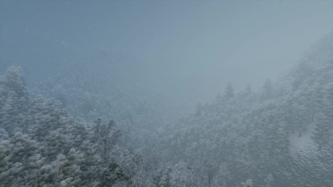航拍原始森林大雪
