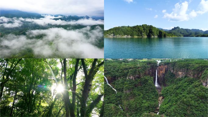 大自然森林山川山水流水绿色意境