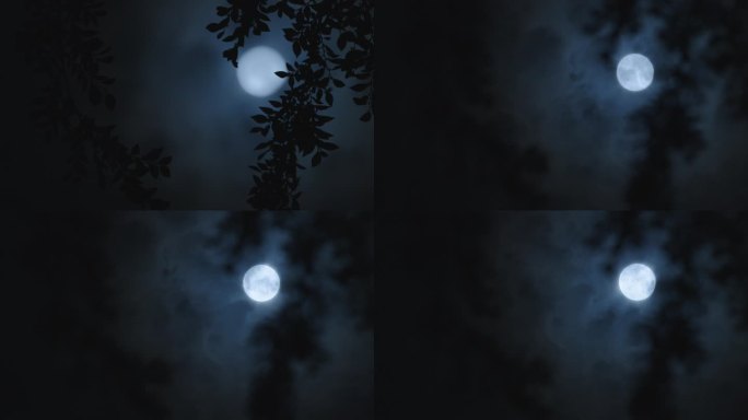中秋 月亮  圆月  树影