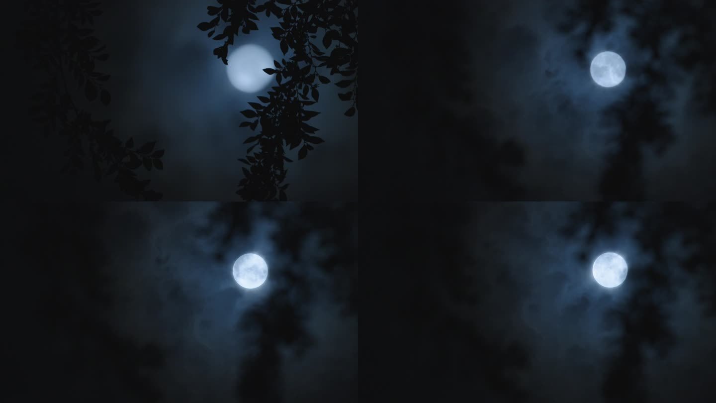 中秋 月亮  圆月  树影