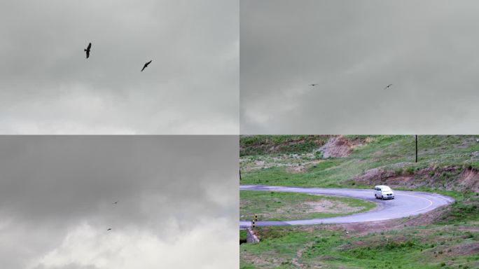 雨天 雄鹰 车辆行驶在盘山公路