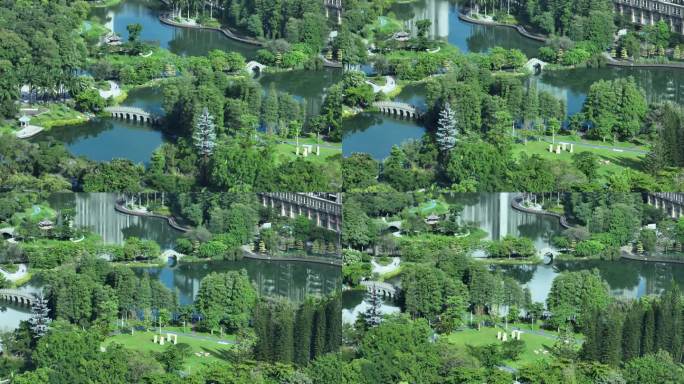 2022-蛇口四海公园-湖泊树林绿树倒影
