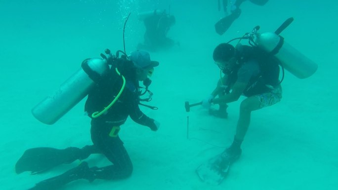 南海水下海底珊瑚种植基地海底生态修复合集