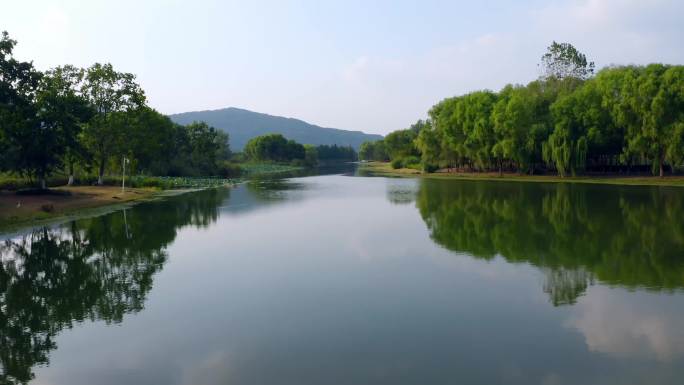 湿地森林公园城市氧吧无锡城市航拍