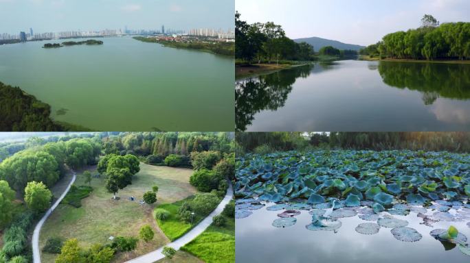 湿地森林公园城市氧吧无锡城市航拍