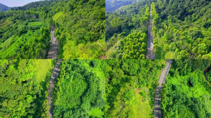 山间森林公路