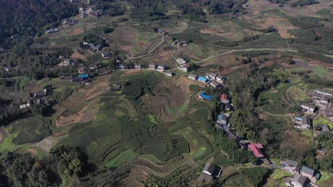 楠木枰川西小村