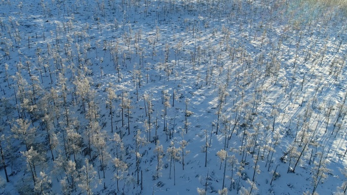 航拍大兴安岭林海雪原