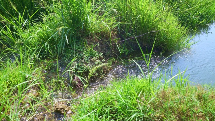 农田灌溉水渠