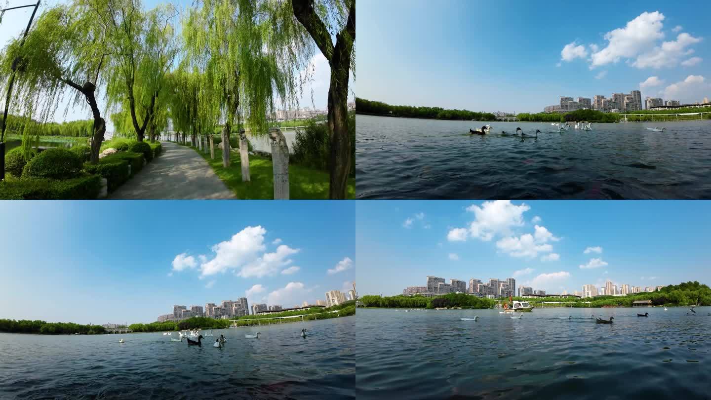 西安曲江池南湖景色升格拍摄